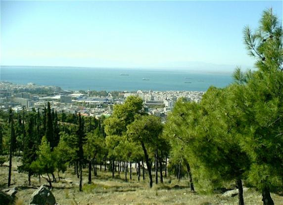 Συναγερμός στη Θεσσαλονίκη: Βρέθηκε στρατιωτικό βλήμα στο Σέιχ Σου